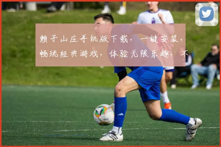 赖子山庄手机版下载，一键安装，畅玩经典游戏，体验无限乐趣，不容错过