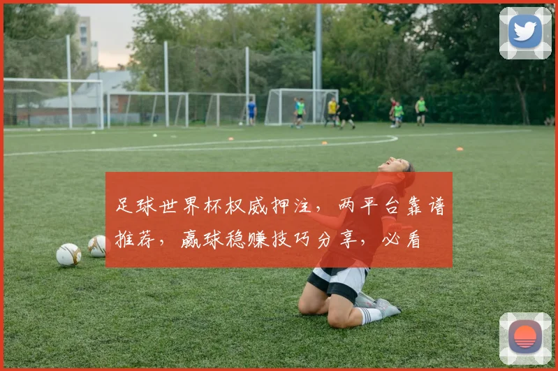 足球世界杯权威押注，两平台靠谱推荐，赢球稳赚技巧分享，必看