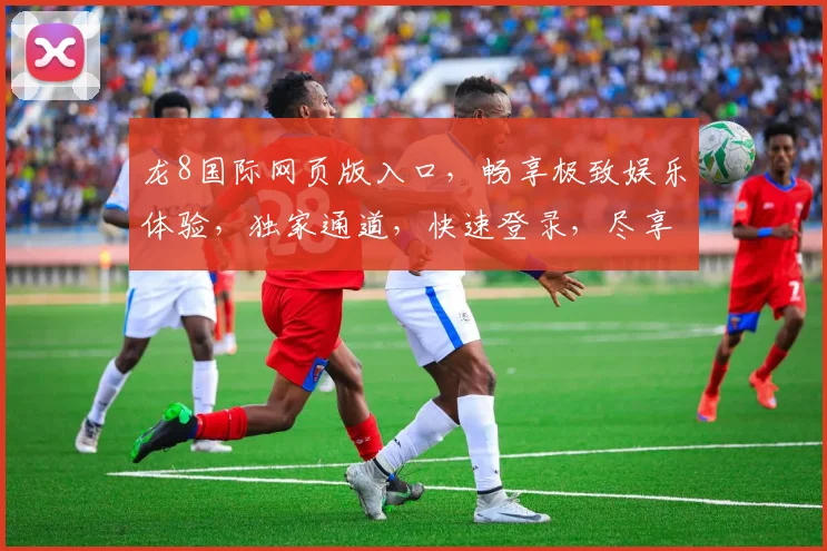 龙8国际网页版入口，畅享极致娱乐体验，独家通道，快速登录，尽享精彩