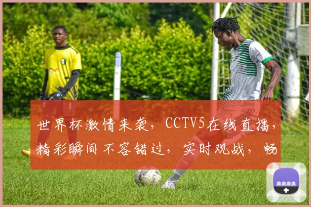 世界杯激情来袭，CCTV5在线直播，精彩瞬间不容错过，实时观战，畅享足球盛宴